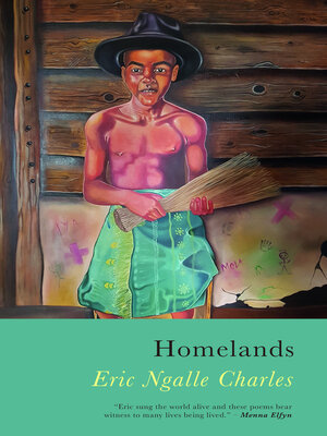 cover image of Homelands